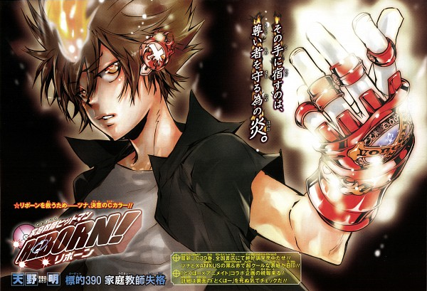 Reborn! Tsunayoshi Sawada Anime Character Hitman, reborn