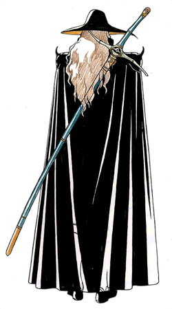 D (Vampire Hunter D), Wiki Herois