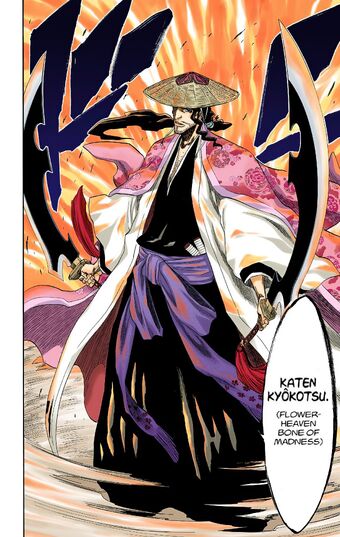 Featured image of post Kyoraku Bankai Explained
