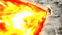 E.N.D's Roar