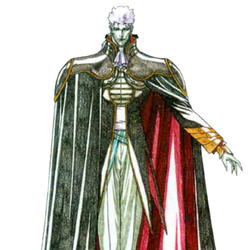 D (Vampire Hunter D), Wiki Herois