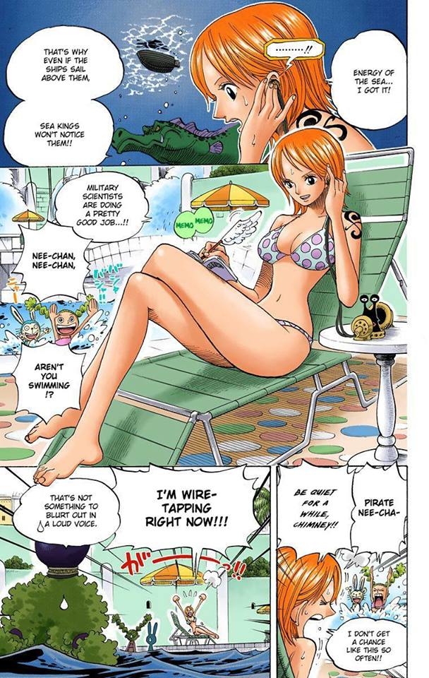 Nami AKA “Cat Burglar” - Discover The Life of Our Favorite Hero