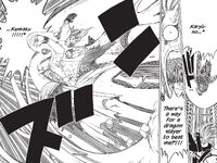Fire Dragon's Sword Edge