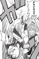 Fire Dragon's Flame Elbow