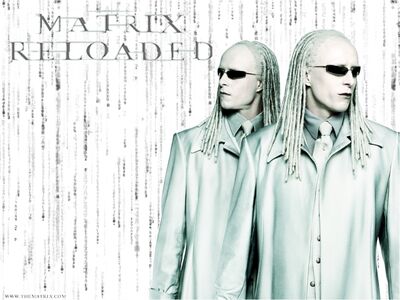 matrix reloaded twins