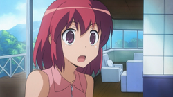 Minori Kushieda/Gallery, Toradora Wiki, Fandom