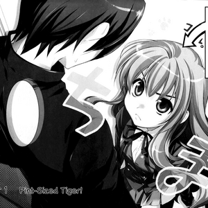 Manga Edition 1 Gallery Toradora Wiki Fandom Was written by yuyuko takemiya. manga edition 1 gallery toradora wiki