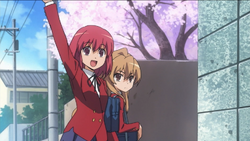 Minori Kushieda/Gallery, Toradora Wiki, Fandom