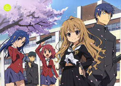 Toradora!, Wiki