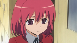 Minori Kushieda, Toradora Wiki, Fandom