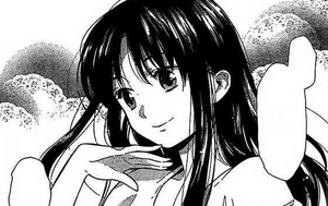 Ami Kawashima Toradora Wiki Fandom とらドラ!) is a japanese light novel series by yuyuko takemiya, with illustrations by yasu. ami kawashima toradora wiki fandom