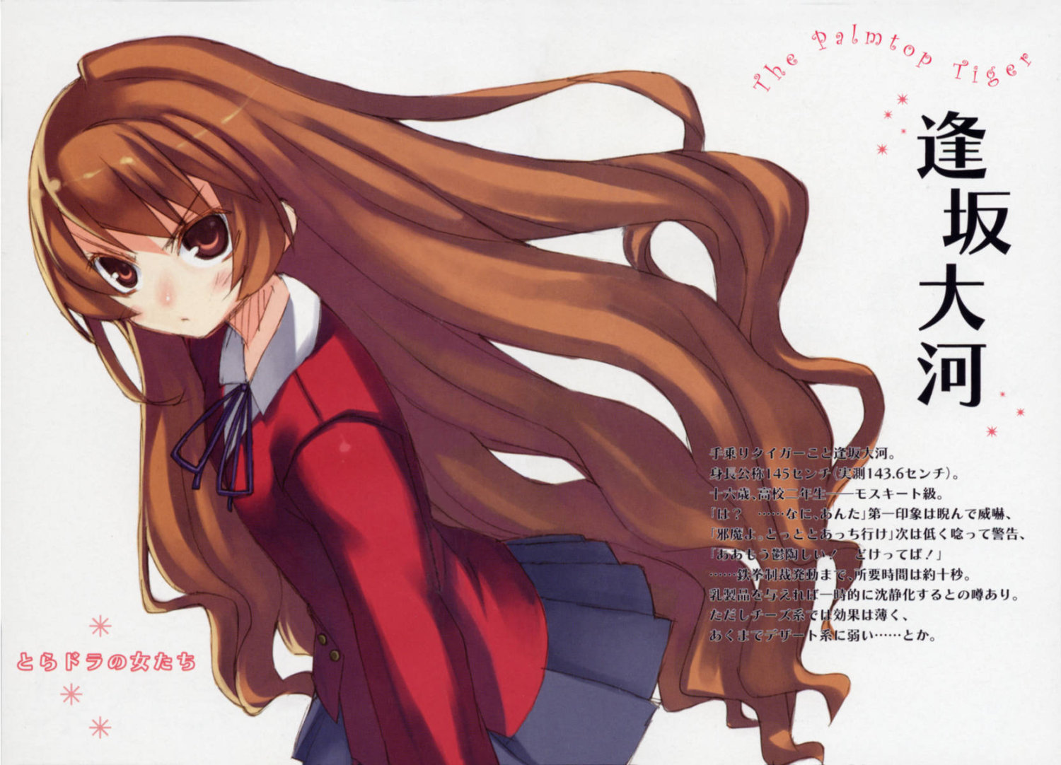 𝑻𝒂𝒊𝒈𝒂⌫  Toradora, Taiga anime, Anime nerd