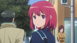 Minori Kushieda, Toradora Wiki, Fandom