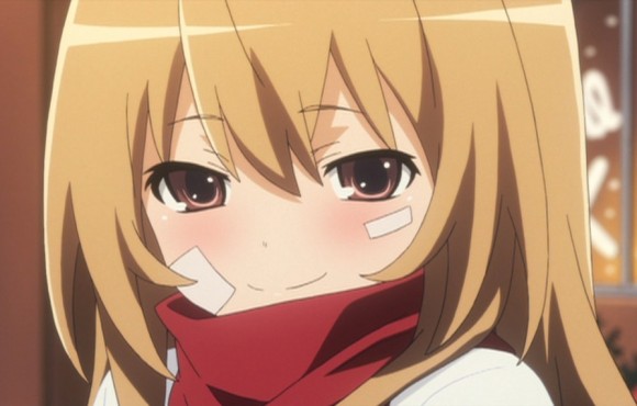 Taiga Aisaka  Toradora Wiki  Fandom