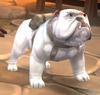 Bulldog