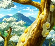 The trees on which the Parromelette nests