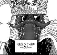 Jiji with his eyes concealed