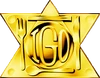 IGO Icon