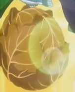 Almond Cabbage as seen in the OVA