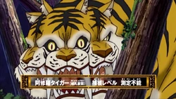 Asura Tiger/Image Gallery | Toriko Wiki | Fandom