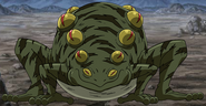 Soldier Frog from Toriko: Gourmet Battle