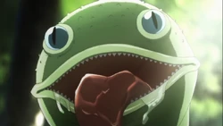 Snake Frog/Image Gallery | Toriko Wiki | Fandom
