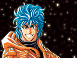 Toriko/History