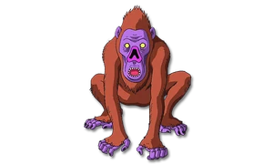 猿のピカロ Amazon.co.jp: 飼育員がつくったサルの図鑑: かならず会いたくなっ