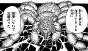 Mohyan's spider form