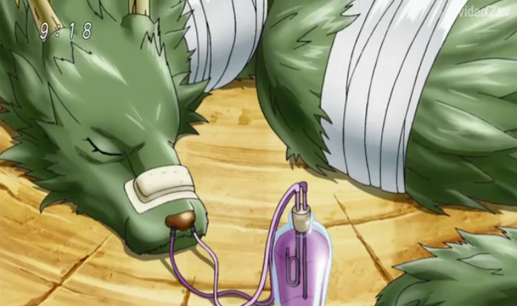 ざくろとブリキの鳥 Chako Bird | Toriko Wiki | Fandom