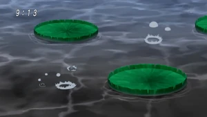 Black Lake close view