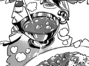 BillionBirdChickenCurry