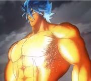 Sunshine toriko