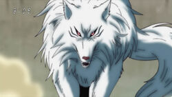 Battle Wolf, Toriko Wiki, Fandom powered by Wikia