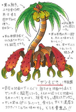 Yashimodoki | Toriko Wiki | Fandom