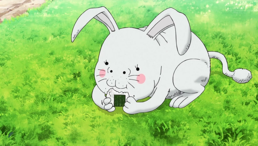 Eco Land | Toriko Wiki | Fandom