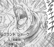 Great Reg First name "Grand shark"