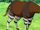 Cacaokapi