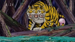 Asura Tiger/Image Gallery | Toriko Wiki | Fandom