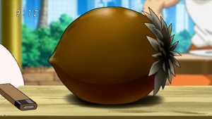 Don Acorn Eps 52