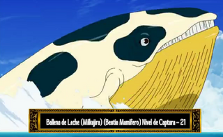 MilkWhale.png