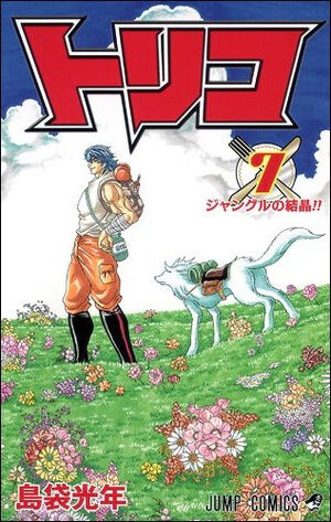 ジャンプコミック トリコ 1～35巻セット (27巻のみ表紙