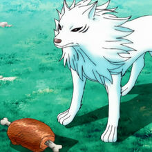 Terry Cloth Image Gallery Toriko Wiki Fandom In the world where the taste and texture of food are very important, there is toriko, a hunter of precious foods regularly hired by. terry cloth image gallery toriko wiki