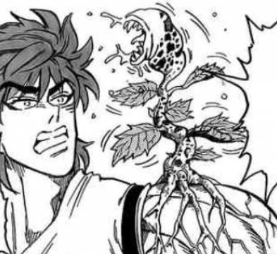 Seedrop Toriko Wiki Fandom