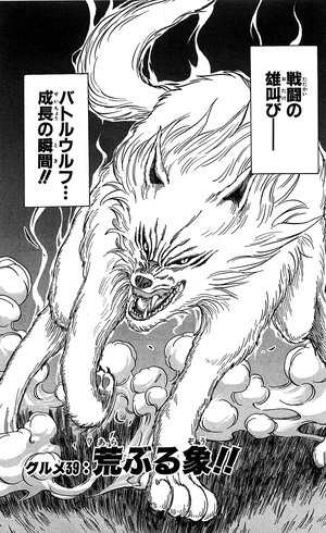 Gourmet 39 | Toriko Wiki | Fandom