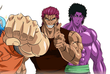 zebra toriko wallpaper