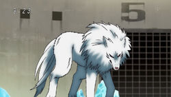 Battle Wolf, Toriko Wiki, Fandom powered by Wikia