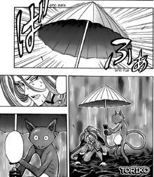 Iai aye raises an umbrella to aid .