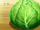 Enamel Cabbage