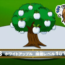 White Apple Toriko Wiki Fandom White Apple Toriko Wiki Fandom